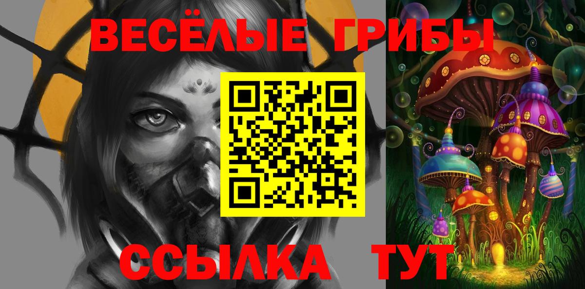 Томск  Псилоцибиновые грибы мухоморы  где купить наркоту  Вход с VPN 
